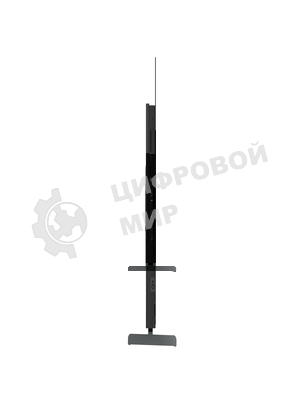 Телевизор Skyworth 55