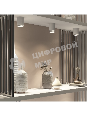 Светильник потолочный светодиодный Cors 10W (25032/LED) белый/серебро