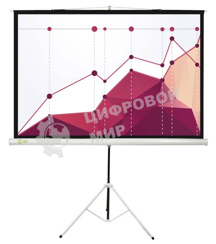 Экран Cactus 180x180 см Triscreen CS-PST-180x180 1:1 напольный рулонный белый