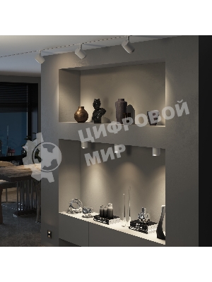 Светильник потолочный светодиодный Cors 10W (25032/LED) белый/серебро