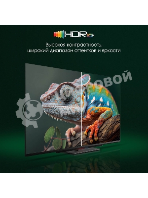 Телевизор Digma 55