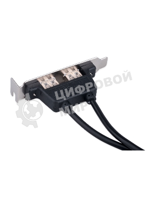 Планка USB 2.0 на заднюю панель низкопрофильная Cablexpert CCUSBRECEPTACLE-LP, 2 порта USB