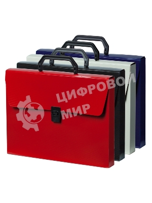 Папка-портфель Бюрократ DeLuxe DLPP01RED 1 отделение, A4, пластик, 0.7мм, красный