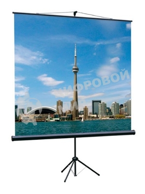 Экран на треноге Lumien 180x180 см Eco View LEV-100102 1:1 напольный рулонный