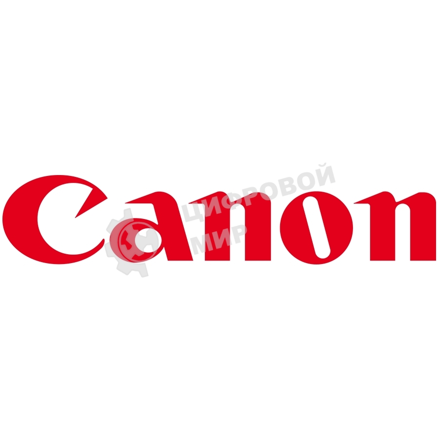 Печатающая головка Canon PF-06