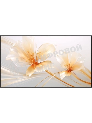 Экран на раме Xgimi 127.6x224.5 см 100