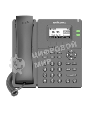 Телефон IP Flyingvoice P20G серый (упак.:1шт)