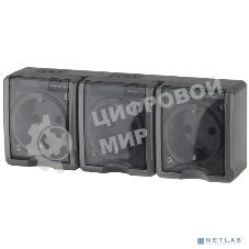 Розетка ЭРА 3х2P+E IP54, 16АХ-250В, 11-2405-03, ОУ, Эксперт, серый (5/50/800)