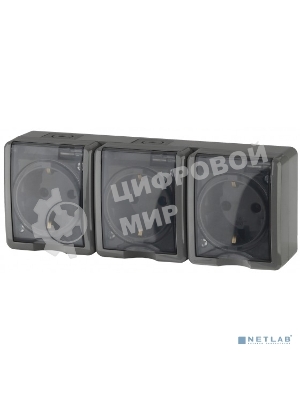 Розетка ЭРА 3х2P+E IP54, 16АХ-250В, 11-2405-03, ОУ, Эксперт, серый (5/50/800)