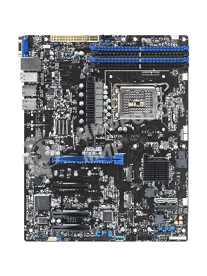 Серверная материнская плата ASUS P13R-E, LGA 1700, Intel C266, 4xDDR5, 4xSATA, 2xM.2, 1xPCIe 5.0 x16, 3xPCIe x8, 1xVGA, 2x1Gb LAN, IPMI, 4xUSB-A 10Gbps, 2xUSB-A 2.0, ATX