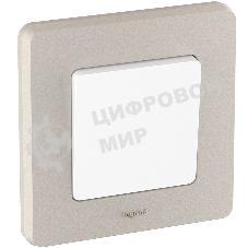 Рамка 1 пост шампань Inspiria