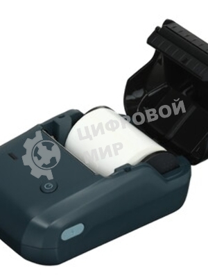 Термопринтер Niimbot B1 (1746795) 203dpi 50мм/с/USB/BT для печ.этик. серый