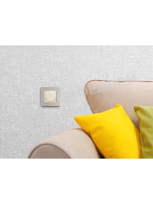 Рамка 1 пост шампань Inspiria