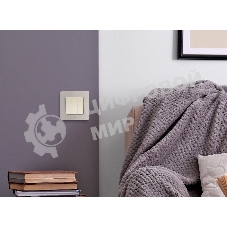 Рамка 1 пост шампань Inspiria