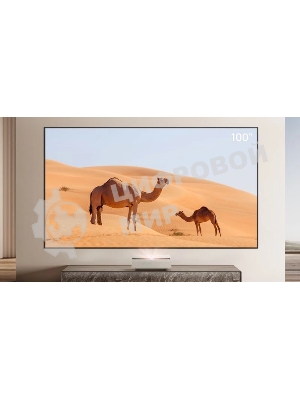 Экран на раме Xgimi 127.6x224.5 см 100