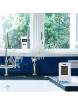 Метеостанция с беспроводным выносным датчиком Rexant