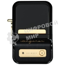 Термопринтер Niimbot B21 Pro pine green (1747186) 300dpi 60мм/с/USB/BT для печ.этик. зеленый