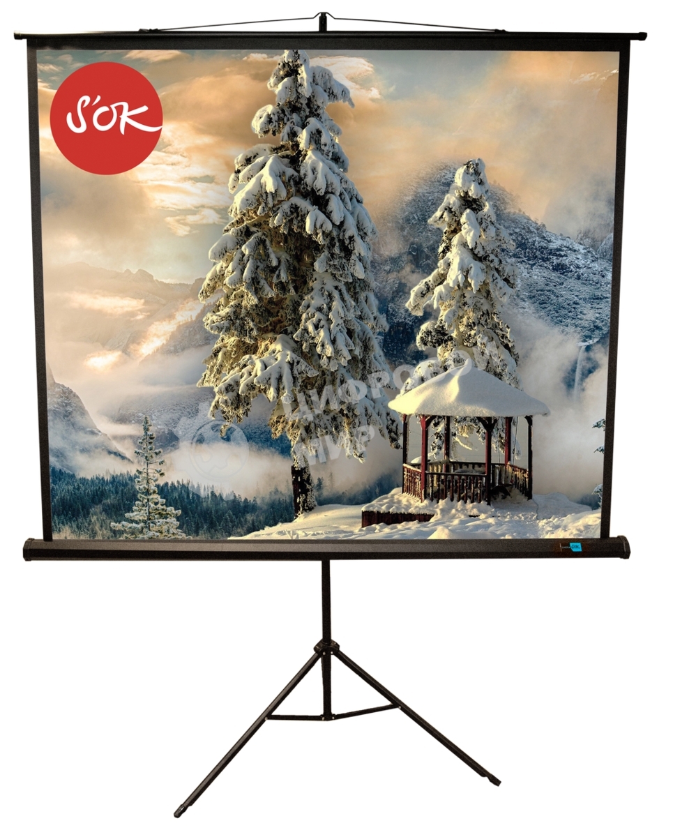 Экран Sakura 200x200 см TriScreen 1:1 напольный рулонный белый 111' Matt White (MW), черный корпус