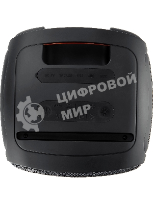 Портативная колонка Ural Молния 700 черный 70W 1.0 BT 10м 4000mAh