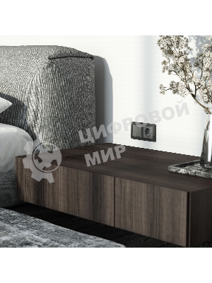 Выключатель двухклавишный WERKEL (графит акрил) W1120044