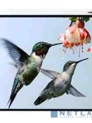 Экран Lumien 305x406см Master Control LMC-100112 4:3 настенно-потолочный рулонный (моторизованный привод)