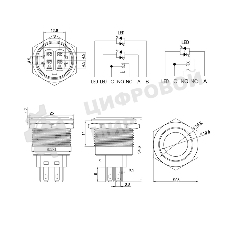 Кнопка антивандальная Rexant Ø22 12В Б/Фикс (5с) (ON)-OFF/(OFF)-ON подсв/синяя