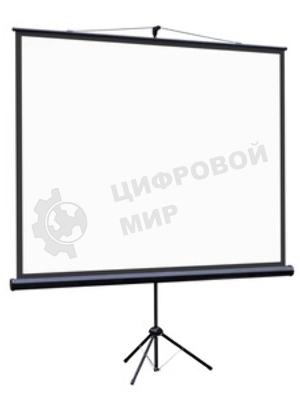 Экран на штативе Lumien Eco View 153x203см (раб.область147х197 см) Matte White с возможностью настенного крепления 4:3