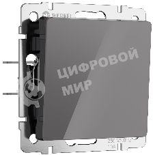 Выключатель одноклавишный проходной (графит акрил)