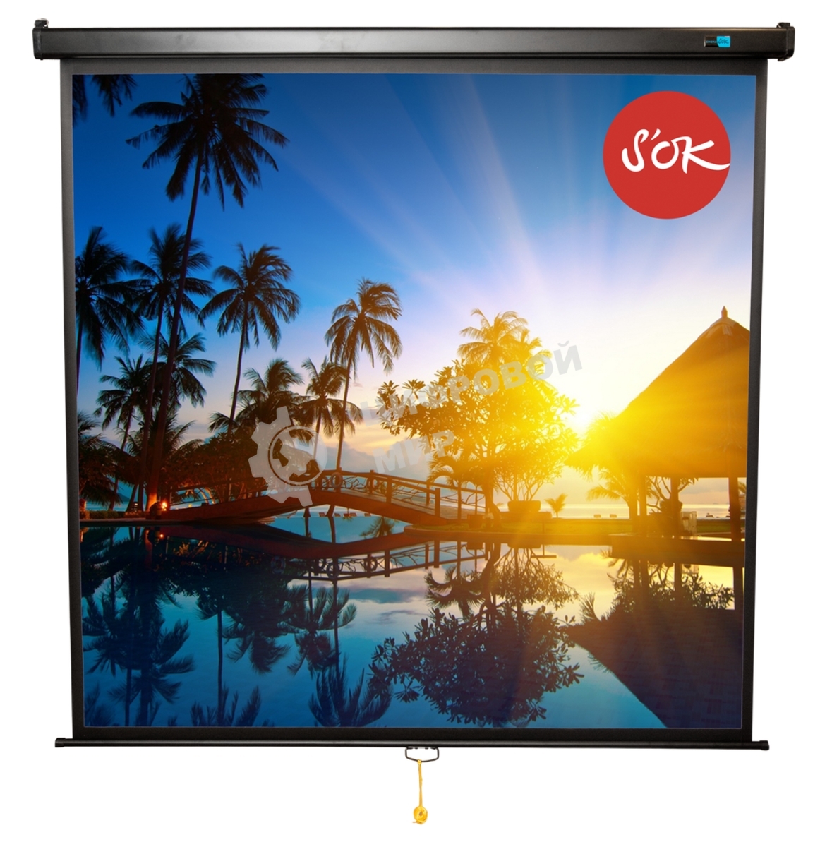 Экран Sakura 150x150см Wallscreen 1:1 настенно-потолочный рулонный белый84' Matt White (MW), черный корпус