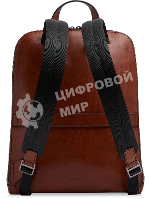 Рюкзак мужской The Bridge Mattia 06480601/90 коричневый натур.кожа