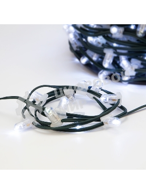 Гирлянда Neon-night LED ClipLight 12V 150 мм, цвет диодов белый, Flashing (белый)