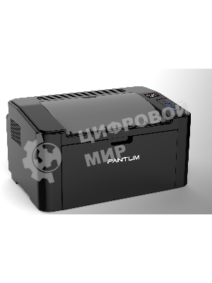 Принтер лазерный PANTUM P2516, A4, ч/б, печ. до 22 стр./мин., 600 x 600 dpi, USB, черный корпус