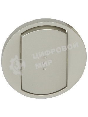 Лицевая панель для выключателя с индикацией титан