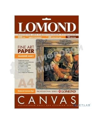 Холст Lomond 0908411 A4/300г/м2/10л./белый матовое лен для струйной печати