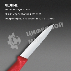 Нож кухонный Victorinox Swiss Classic (6.7601.C1) стальной разделочный для овощей лезв.80мм прямая заточка красный