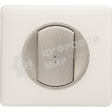 Лицевая панель для выключателя с индикацией титан