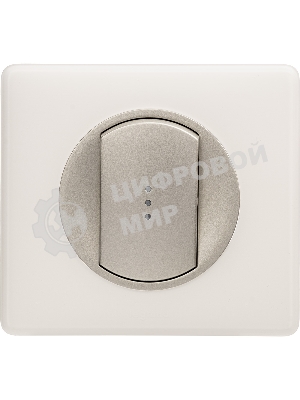 Лицевая панель для выключателя с индикацией титан