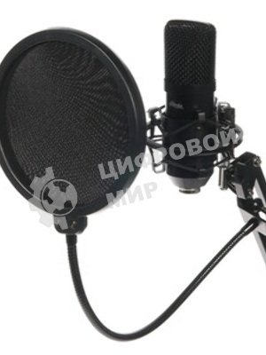 Микрофон Ritmix RDM-169 черный