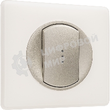 Лицевая панель для выключателя с индикацией титан