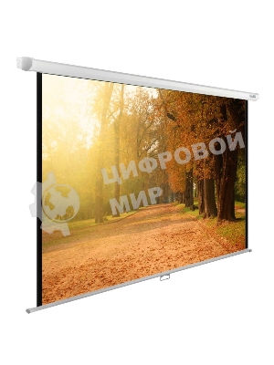 Экран Cactus 125x200см WallExpert CS-PSWE-200x125-WT 16:10 настенно-потолочный рулонный