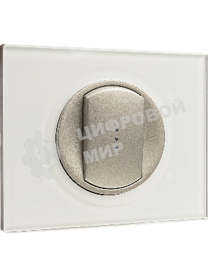 Лицевая панель для выключателя с индикацией титан