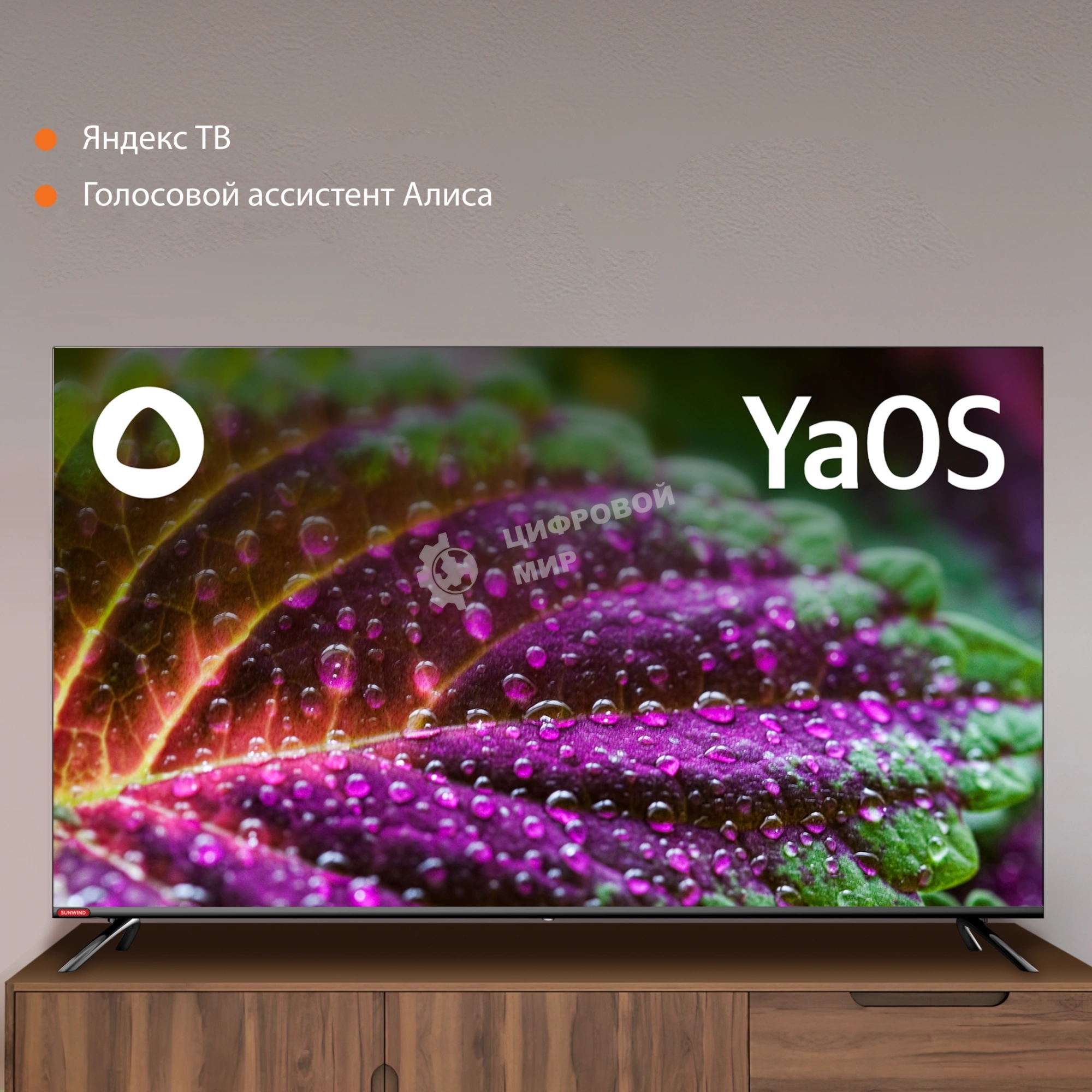 Телевизор SunWind 55