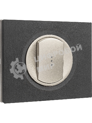 Лицевая панель для выключателя с индикацией титан