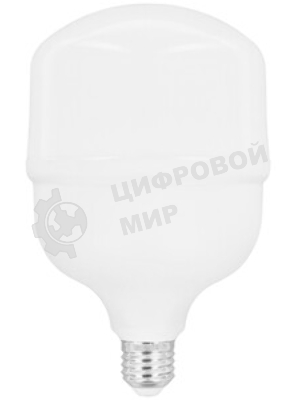 Лампа светодиодная Ergolux 14329 LED-HW-50W-E40-6K PRO 50Вт E27/E40 6500К 150-260В