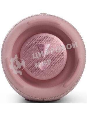 Портативная акустика JBL Charge 5, розовый