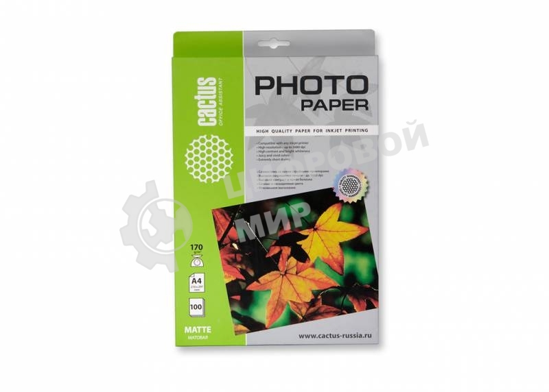 Фотобумага Cactus CS-MA4170100 матовая A4 170 г/м2 100 листов