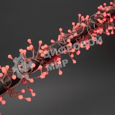 Гирлянда Neon-night 