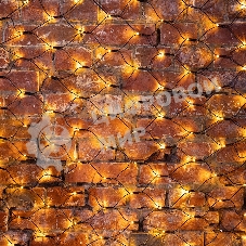 Гирлянда Neon-night 