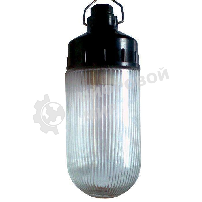 Светильник ЭЛЕТЕХ НСП 02-100-001 