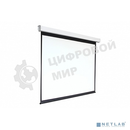 Экран 213x213см Digis Electra-F DSEF-1107 1:1 настенно-потолочный рулонный (моторизованный привод)